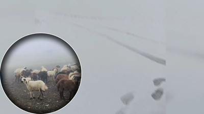 Yaz ortasında kar şoku yaşadılar! Yaylada masalı gibi olay