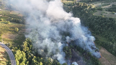 Milas'ta orman yangını! Havadan karadan müdahale ediliyor