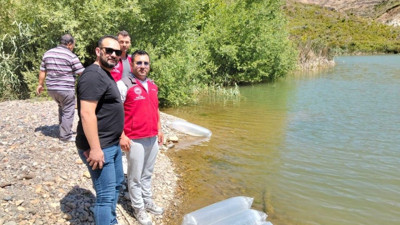 Kozağaç Baraj Gölü’ne 40 bin sazan yavrusu bırakıldı