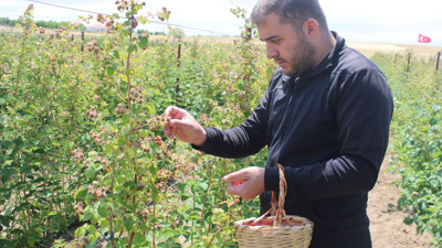 Hobi olarak başladığı taleplere yetişemiyor
