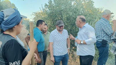 Aydın'da orman yangını