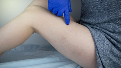 Varis hakkında bilinmeyenler ortaya çıktı! Uzmanlar anlattı