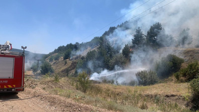 Kütahya'da orman yangını kontrol altında