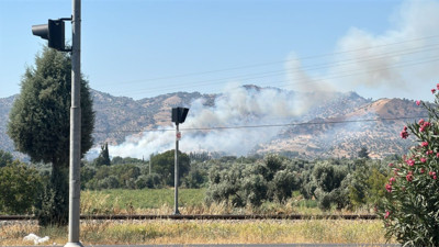 Aydın'da da orman yangını