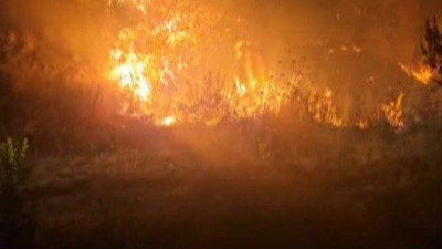 Hatay’da orman yangını kontrol altında!