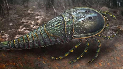 Okyanusların unutulmuş canavarının kadim sırrı