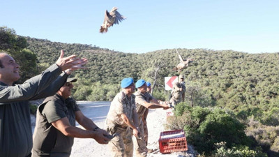 Kınalı keklikler özgürlüğe kanat çırptı!