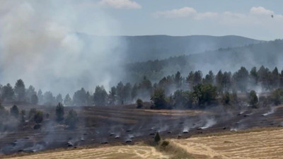 Tarım arazisinden ormana! Yangın kontrol altına alınamıyor
