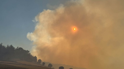 Uşak'ta tarım arazisinde yangın ormana sıçradı: Ekipler seferler!