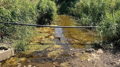 Marmara’nın en büyük doğal gölüydü! Kuraklık vurdu derede hayat bitti