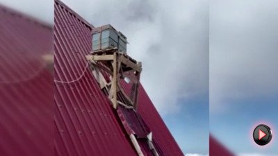 Ayılara karşı devrim niteliğinde çözüm