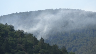 Çankırı’daki orman yangını kontrol altında