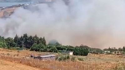 İstanbul'da tarla yangını