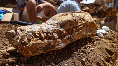 100 milyon yıl önceki deniz devi! Deniz canavarının sırrı