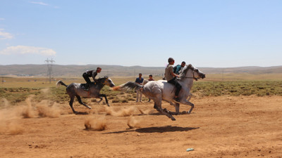 Atlar tozu dumana kattılar