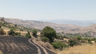 Tunceli’de 34 dönüm arpa yangında kül oldu