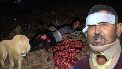 Aslan Zeus’la boğuşan çiftçi mucize kurtuluşu anlattı: Korku filmi gibiydi! Sivrisinek battaniyesi detayı