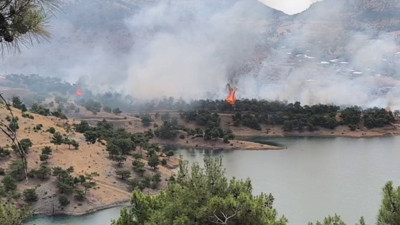 Adıyaman’da orman yangını panik yarattı!