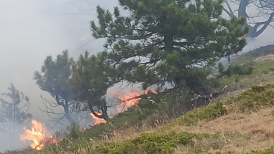 Çay ateşi ormanı yaktı! Konya'da yangın felaketi: 1 kişi gözaltına alındı