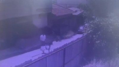 500 metre menzilli tüfekle vuruldu! Ölümünde şok detaylar