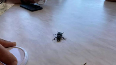 Bunu yapan 557 bin TL ceza ödeyecek! Aman dikkat