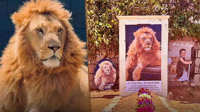 Türkiye günlerce onu konuşmuştu: ‘Zeus’un öldürülmesinde çarpıcı gelişme!