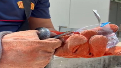 İtfaiye eri yakaladığı yılana su içirdi