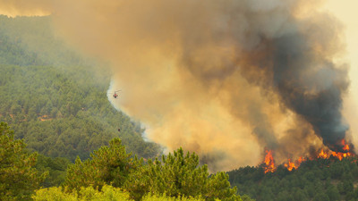 Alevler kontrol altına alınamıyor! Uşak'ta orman yangını
