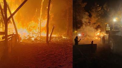 Çiftlik hayali alevler arasında kül oldu! Jandarmaya şikayette bulundu: 95 hayvan telef oldu