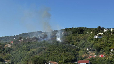 Beykoz'da orman yangını!