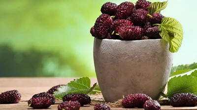 22 kat daha fazla kalsiyum içeriyor! Faydaları sınır tanımıyor şifa deposu