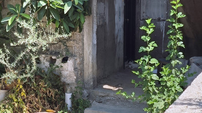 Annesini sopayla döve döve öldürdü