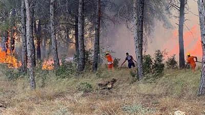 Bülent Ersoy dehşeti yaşadı! Orman yangını villasına sıçradı