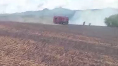 Kartalın elektrik tellerine çarpması felakete yol açtı