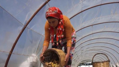 İşçilere müdür maaşı veriliyor. Resmi kurum açıkladı