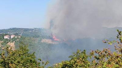 Zonguldak'ta orman yangını
