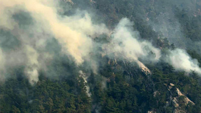 Adana’daki orman yangınında şüpheliler tutuklandı