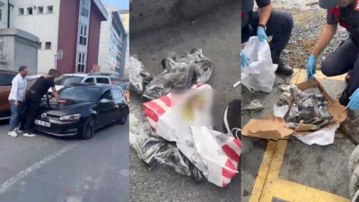 Jandarma poşetleri açınca gözlerine inanamadı! Oyuncak kutularından çıktı