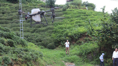 Rizeli pratik zekasıyla hayran bıraktı! Dron ile çay bahçesine su servisi