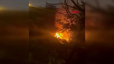 İstanbul'da orman yangını! Ekipler sevk edildi