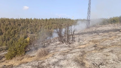 Hatay'da ormanlık alanda yangın