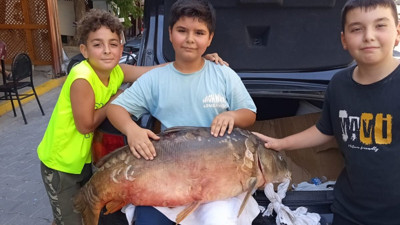 Amatör balıkçının oltasına takıldı: Dev sazan Hayrabolu’yu salladı!