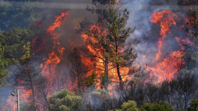 Türkiye’nin dört bir yanındaki orman yangınlarıyla ilgili uzmanlardan hayat kurtaran uyarılar