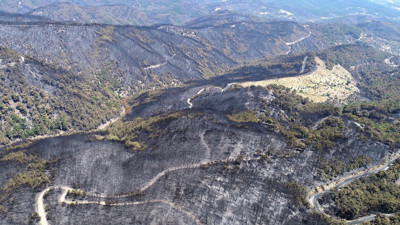 Son bir ayda Esenyurt'un 21 katı alan orman kül oldu