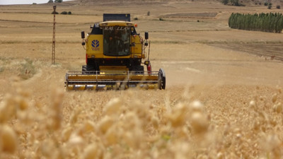 Sorgunlu çiftçi nohut için tescil istiyor