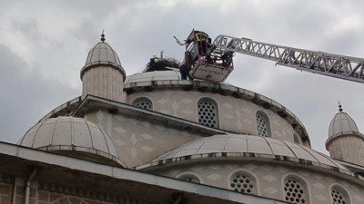 İznik’te leylek kurtarma operasyonu
