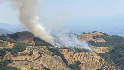 Aydın'daki yangın kontrol altına alındı