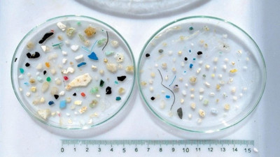 Görünmez katil, doğanın ve insanlığın düşmanı