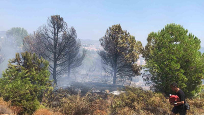 Panaroma Tepesi’nde yangın alarmı! Ekipler seferber oldu