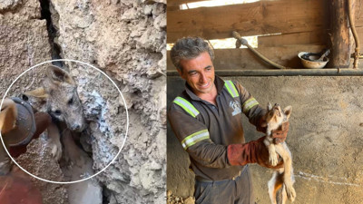 Kaya çatlağında mahsur kaldı: İşçiler hemen yardıma koştu!